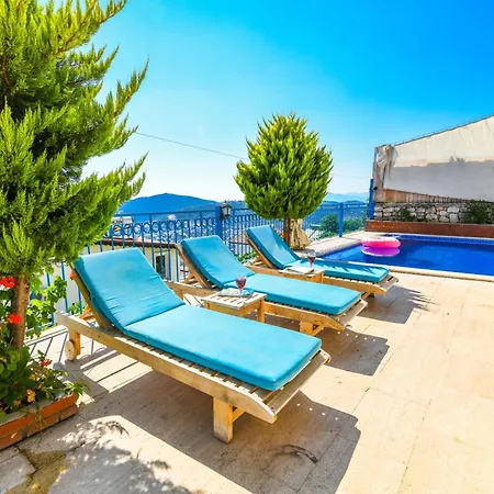 Papatya * Kaş